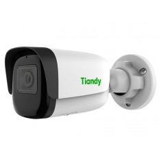 Камера видеонаблюдения Tiandy TC-C35WS 